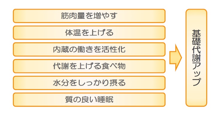 基礎代謝とダイエット 遠赤外線半身浴サウナ ハーフスパ